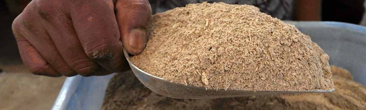 a scoop of ground kava