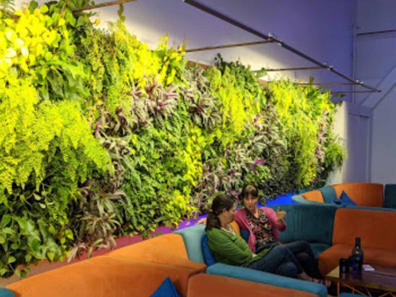 green wall with couches
